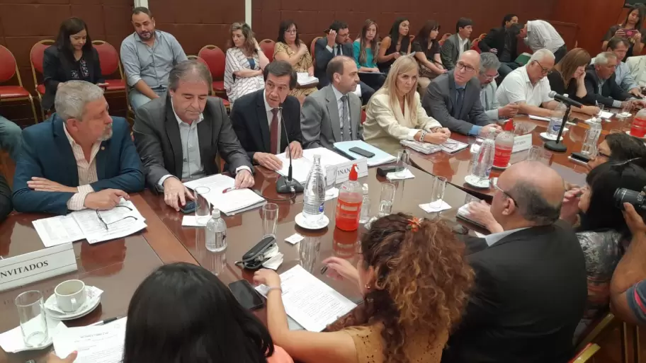 El ministro Carlos Sadir ante los integrantes de la comisión de finanzas