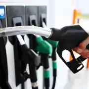 ¿Conviene cargar nafta súper en lugar de premium?: qué combustible es mejor para ahorrar
