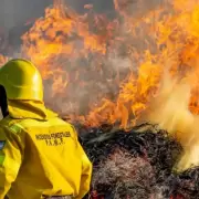 Los incendios en Tierra del Fuego consumieron más de 1500 hectáreas