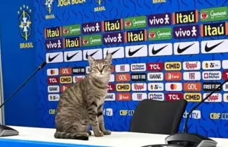 michi