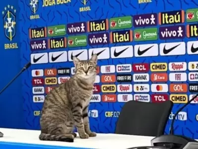michi