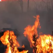 En lo que va del 2022, se quemaron más de 25.000 hectáreas por incendios forestales en Jujuy