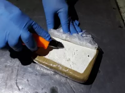 Ladrillo de coca�na