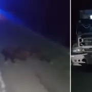 Animales sueltos en ruta 34: un caballo fue embestido por un camión y murió