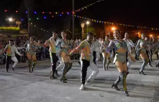 carnaval de palpal�