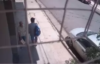 abandono de caja con gatitos