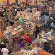 Cocinar en tiempos de alta inflación: conocé las precios de las verduras en Jujuy