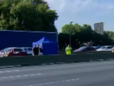 Discusión y muerte en la Autopista 25 de Mayo: pelearon, se bajaron del auto y f