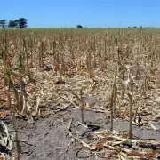 Argentina enfrentaría la peor caída de sus exportaciones de la historia por la sequía