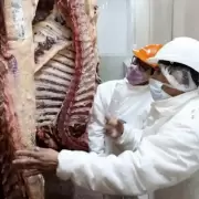 El Gobierno anunció que también eliminará las retenciones de carnes avícolas y bovinas hasta el 31 de octubre