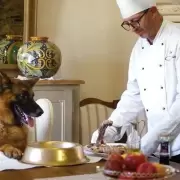 La historia de Gunther, el perro más rico del mundo: vive en una mansión, tiene chef privado y viaja en limusina