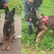 La unidad de perros de la Policía se suma al CINDAC en la búsqueda de mujeres y menores