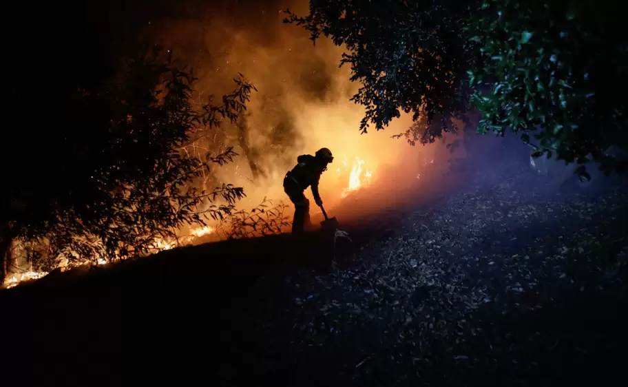 Incendios forestales en Chile