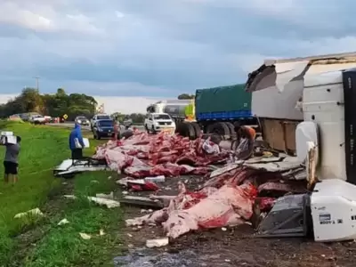Un camión que transportaba carne volcó en Salta y fue saqueado