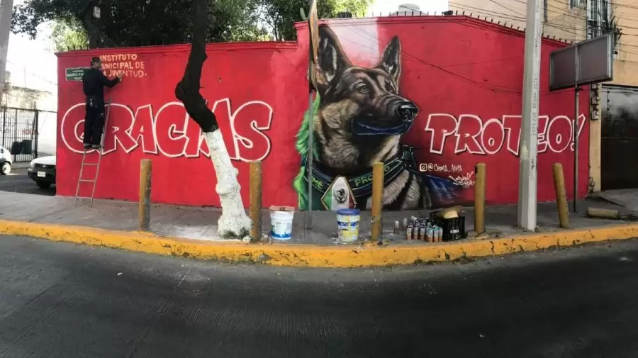 proteo, el perro heroe mexicano