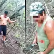 Detuvieron a 4 personas por cazar chanchos del monte en Palma Sola