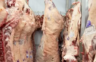 carne vacuna