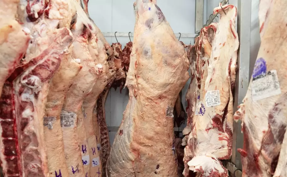 carne vacuna