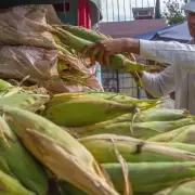Semana Santa en Jujuy: aumenta la demanda de verduras y advierten que los precios pueden subir