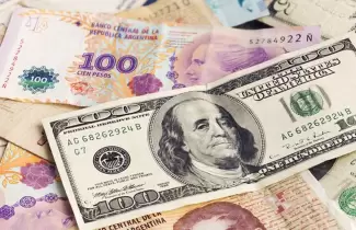 Pesos argentinos y dólares