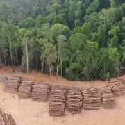 La deforestación del Amazonas reduce las precipitaciones en América del Sur
