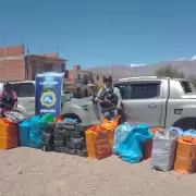 La Brigada de Narcotráfico de Humahuaca secuestró más de mil kilos de hojas de coca