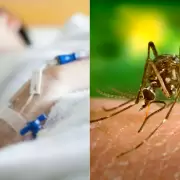 Dengue en Jujuy: 8 menores permanecen internados
