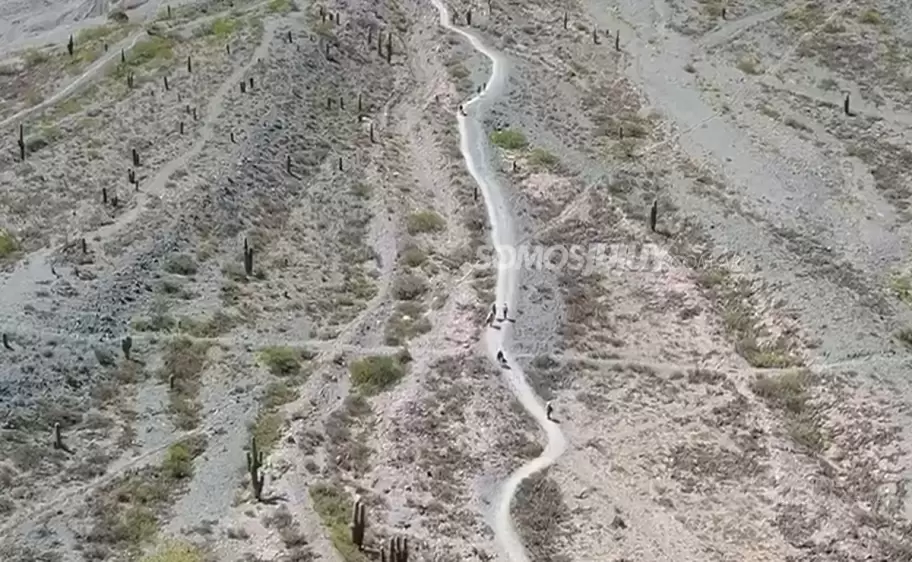 peregrinos en Tunalito