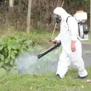 Brote de dengue en Jujuy: advierten que "la fumigación no es la solución"