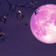 Llega la "Luna de fresa" en junio: qué significa este curioso fenómeno y cómo verlo desde Argentina