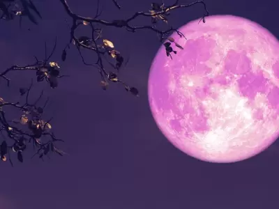 luna rosa