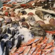 Semana Santa en Jujuy: a cuánto se consigue el kilo de pescado