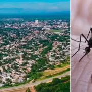 Dengue en Jujuy: aseguran que en San Pedro hay más de 500 casas abandonadas