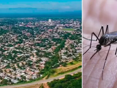 El COE dengue se reunirá en San Pedro