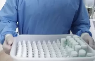 desarollo del Inta contra el dengue