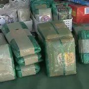 Aumentó el precio de la hoja de coca en Jujuy: el cuarto de la especial ronda los $6 mil