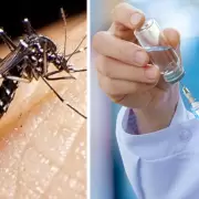 La Anmat aprobó la vacuna contra el dengue: cuándo llega al país y cómo será su aplicación