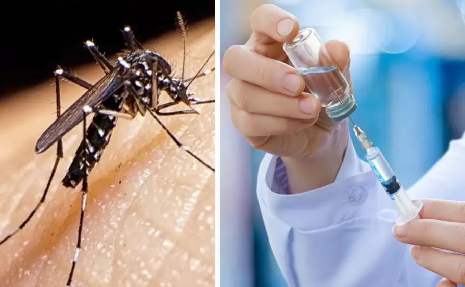 dengue vacuna