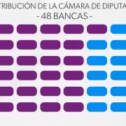 Elecciones en Jujuy: así quedará conformada la Legislatura