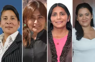 Intendentas electas