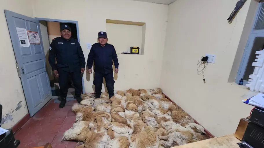 Secuestro de cueros de vicuña