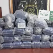 Decomisaron 700 kilos de hojas de coca, cigarrillos y cubiertas ilegales en Aguas Blancas