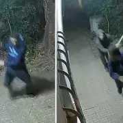 Vecinos emboscaron a un ladrón en La Plata