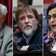 Diputados por Jujuy: dejan sus bancas en diciembre Ferreyra, Rizzotti y Moiss