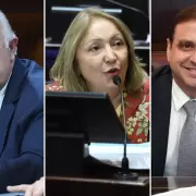 Fiad, Giacoppo y Snopek, los senadores de Jujuy que terminan su mandato este ao