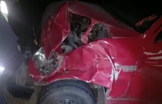 choque de auto con un caballo