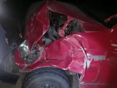 choque de auto con un caballo
