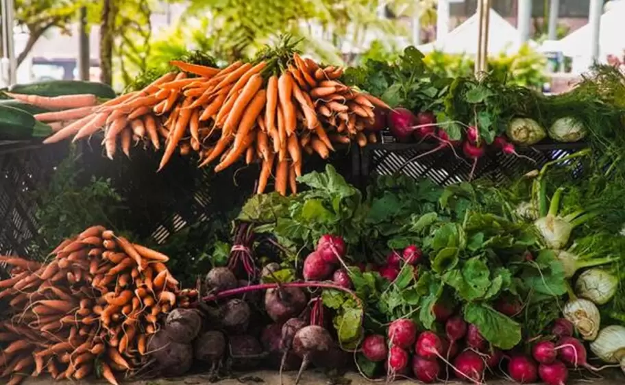 verduras
