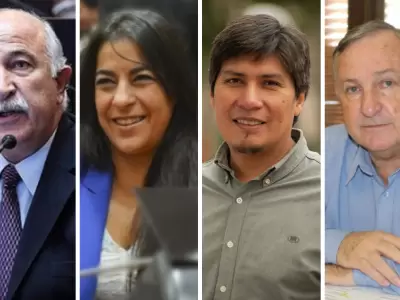 senadores diputados