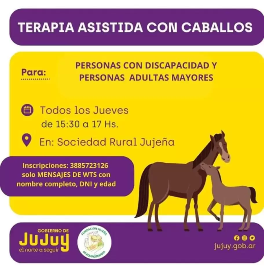 Equinoterapia